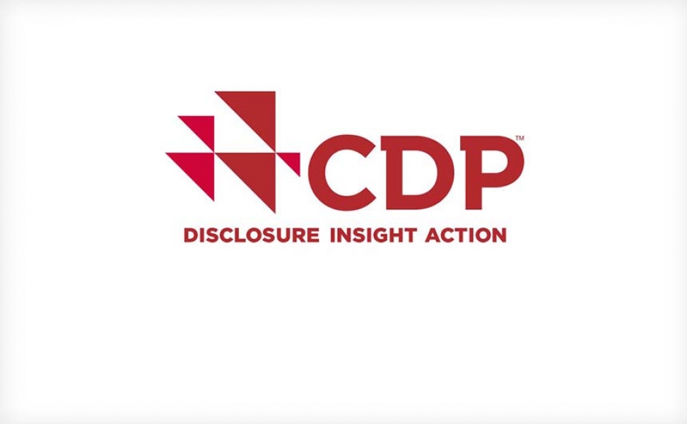 CDP logo